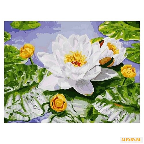 Белоснежка Картина по номерам