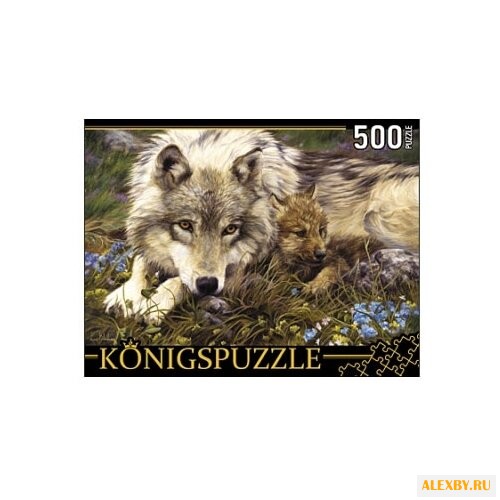 Пазл Рыжий кот Konigspuzzle