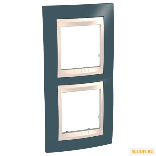 Рамка 2п Schneider Electric