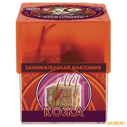 Набор Профессор Эйн Кожа