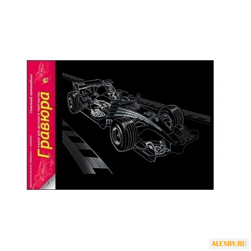 Гравюра Рыжий кот Гоночный