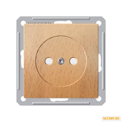 Розетка Schneider Electric