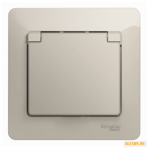 Розетка Schneider Electric