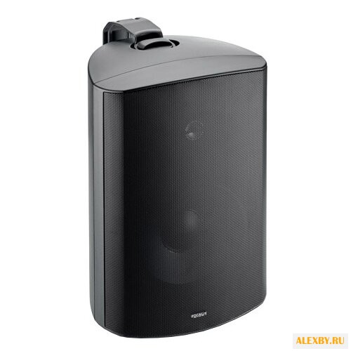 Акустическая система Focal 100