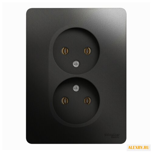Розетка Schneider Electric
