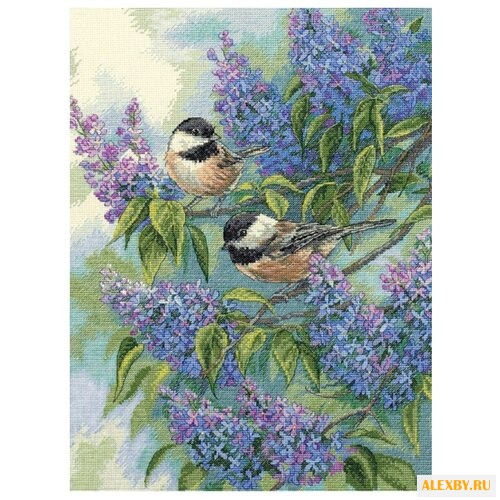 Dimensions Набор для вышивания