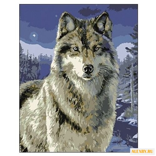 Рыжий кот Картина по номерам