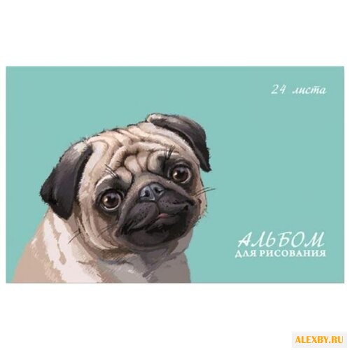 Альбом Феникс Мопс 29.7 х 21