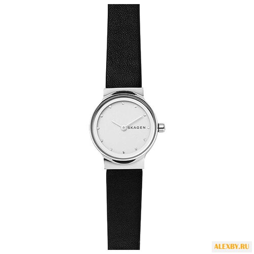 Наручные часы SKAGEN SKW2668