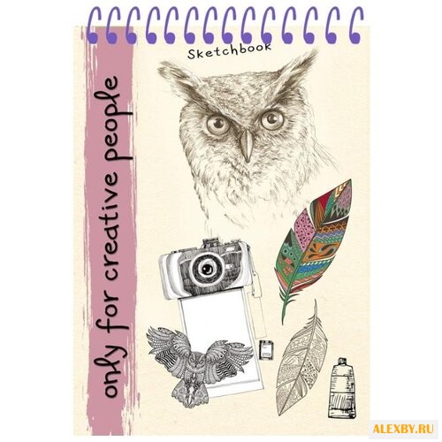 Скетчбук Проф-Пресс Филин 21