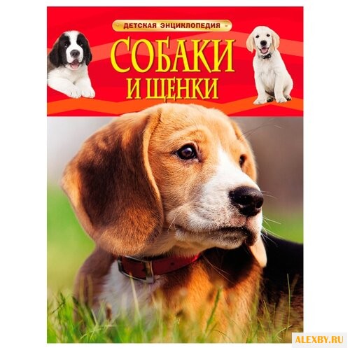 Детская энциклопедия. Собаки и