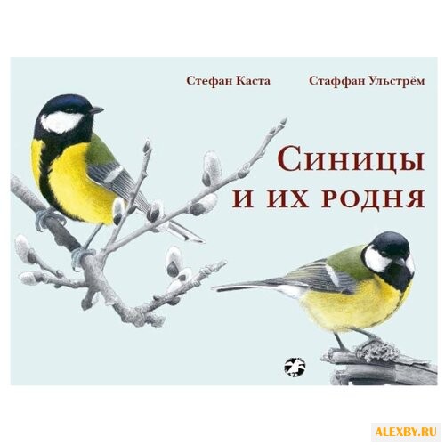 Каста С. Синицы и их родня