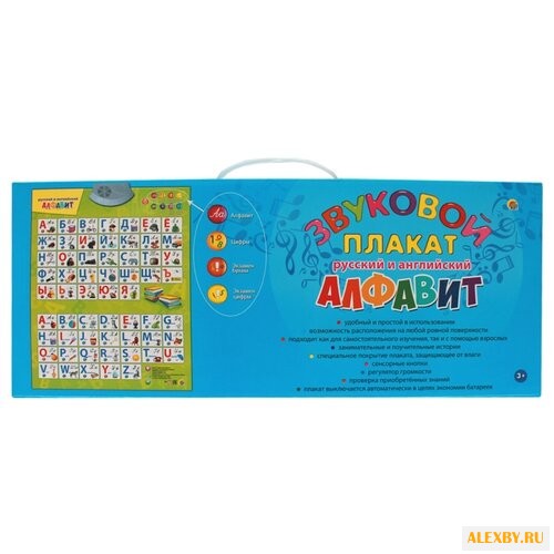 Электронный плакат Рыжий кот