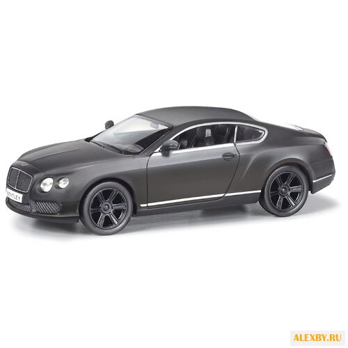 Легковой автомобиль RMZ City