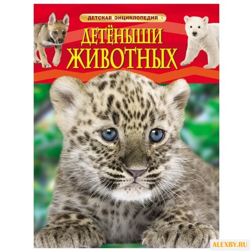 Детская энциклопедия. Детеныши