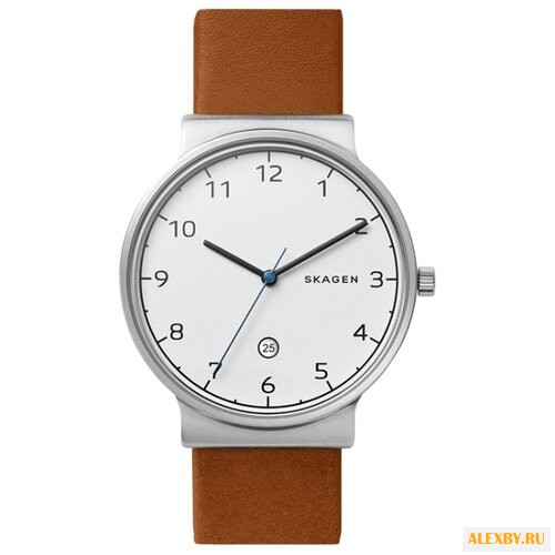 Наручные часы SKAGEN SKW6433