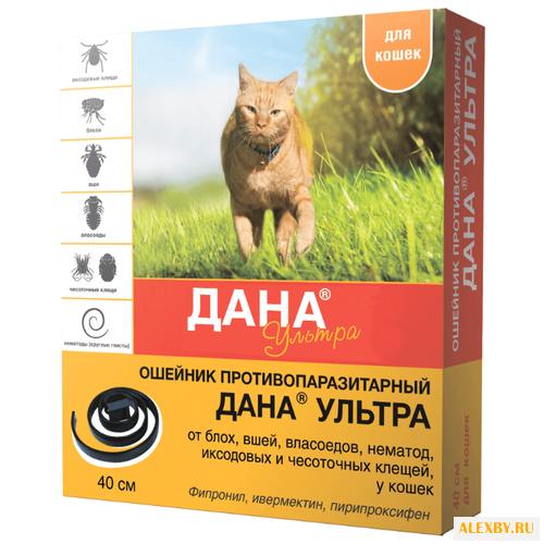 Api-San Дана Ультра Ошейник для