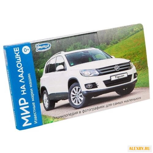 Набор карточек Умница Мир на