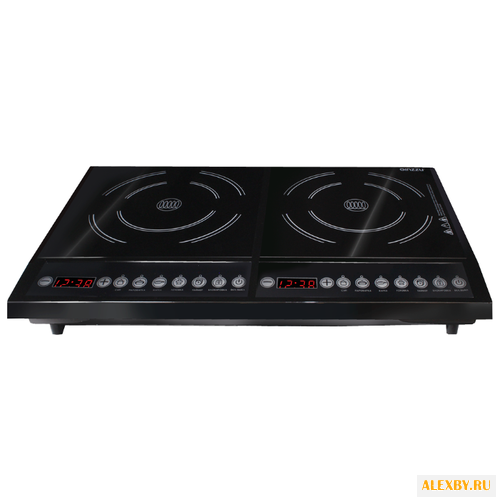 Плита Ginzzu HCI-213