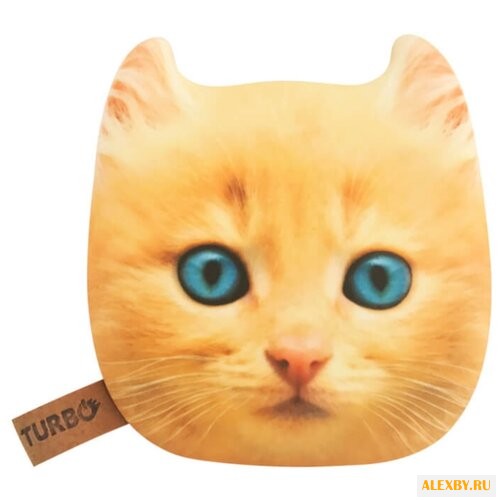 Аккумулятор Turbo PowerBank