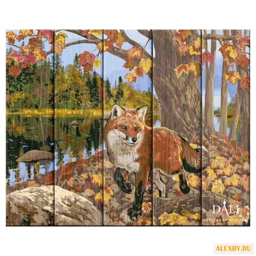 DALI Картина по номерам Рыжая