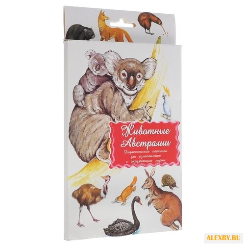 Набор карточек Маленький гений