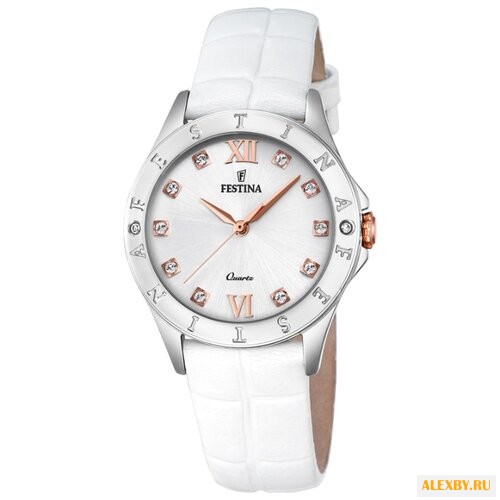 Наручные часы FESTINA F16929 A