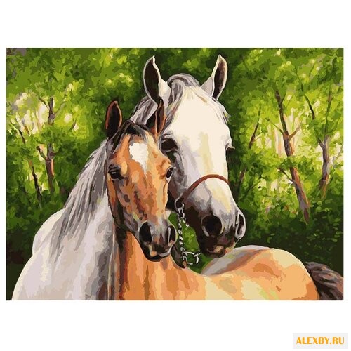 Белоснежка Картина по номерам