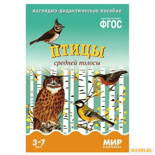 Набор карточек Мозаика-Синтез