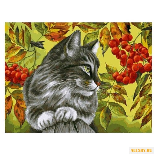 Белоснежка Картины по номерам