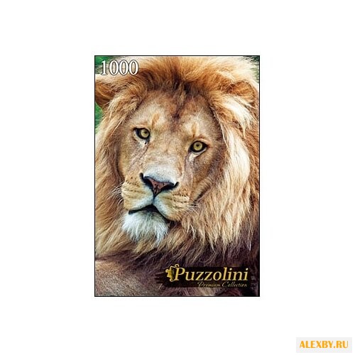 Пазл Рыжий кот Puzzolini