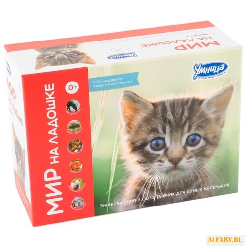 Набор карточек Умница Мир на