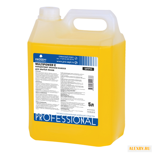 PROSEPT Средство для мытья