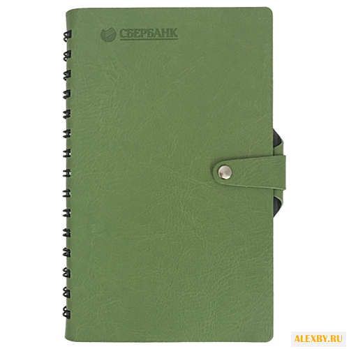 Ежедневник недатированный с