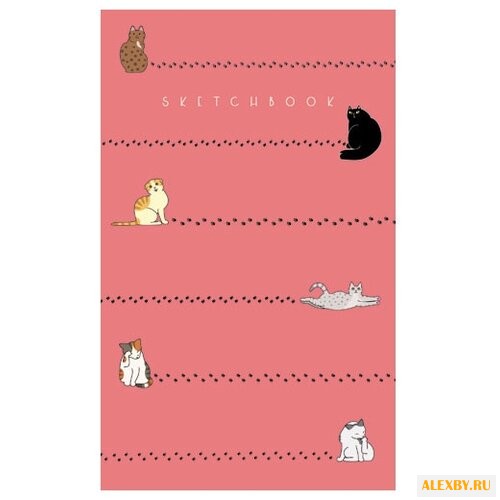 Скетчбук Канц-Эксмо Чудесные