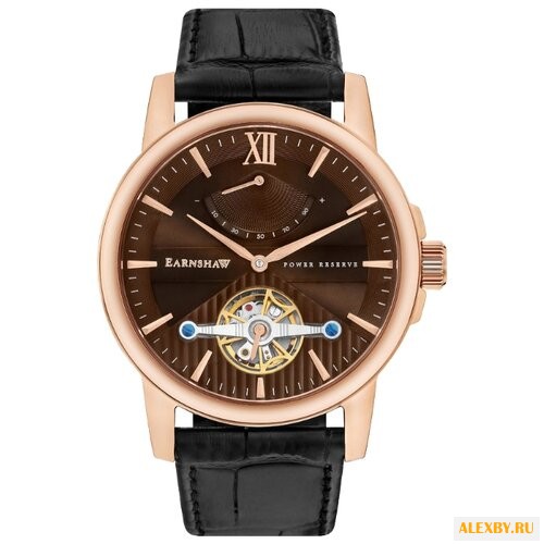 Наручные часы EARNSHAW ES-8080-03