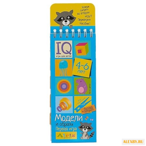 Развивающая игра Айрис-Пресс