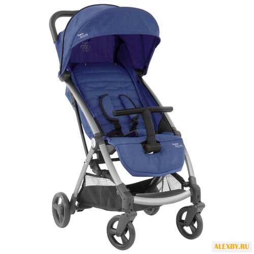 Прогулочная коляска BabyStyle