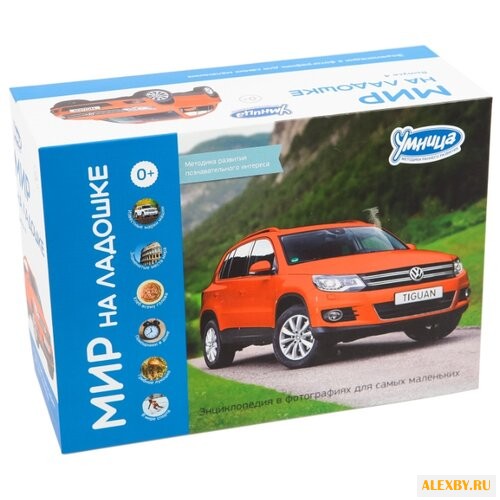 Набор карточек Умница Мир на