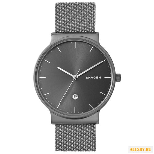 Наручные часы SKAGEN SKW6432