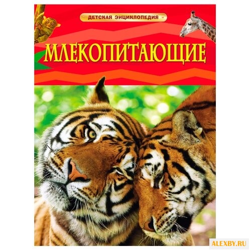 Бурнье Д. Детская энциклопедия.