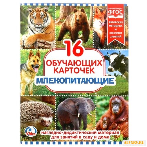 Набор карточек Умка