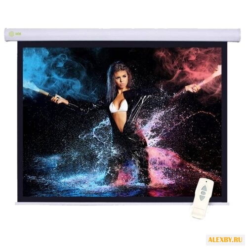 Рулонный матовый белый экран