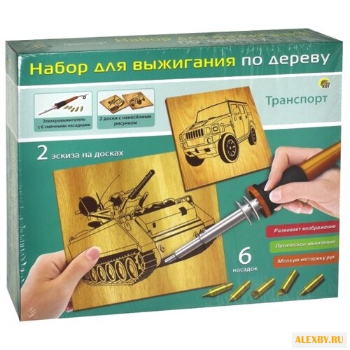 Рыжий кот Набор для выжигания