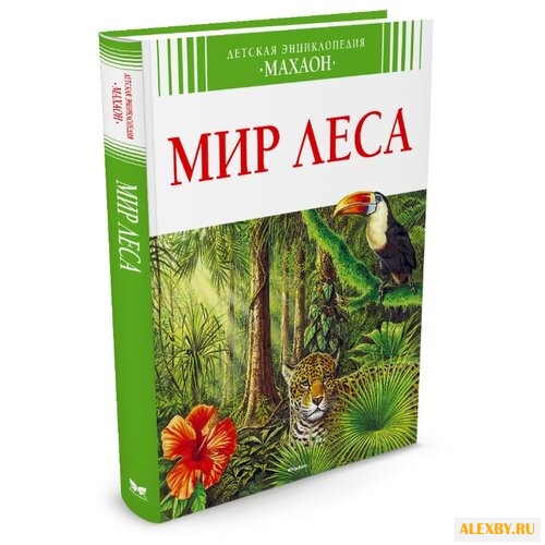 Эйнар Г. Мир леса