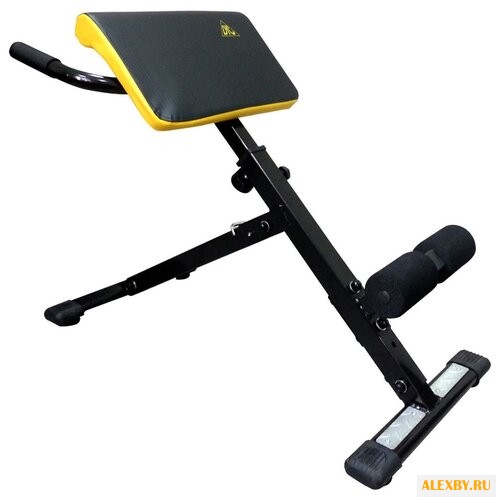 Наклонная гиперэкстензия DFC