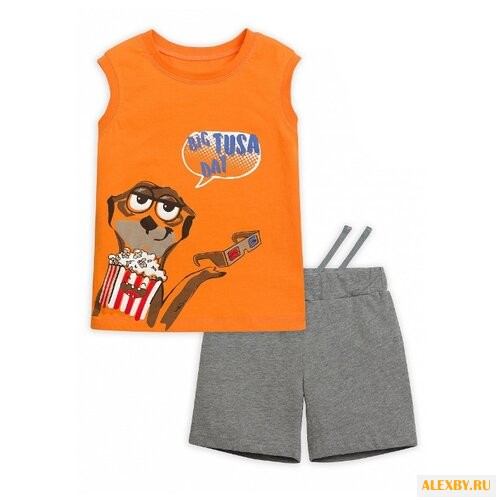 Комплект одежды Pelican