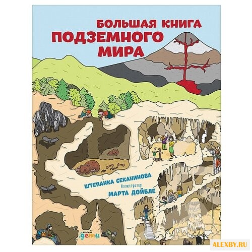 Секанинова Ш. Большая книга