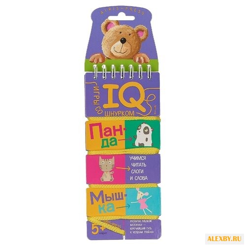 Развивающая игра Айрис-Пресс