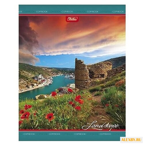 Hatber Тетрадь на кольцах